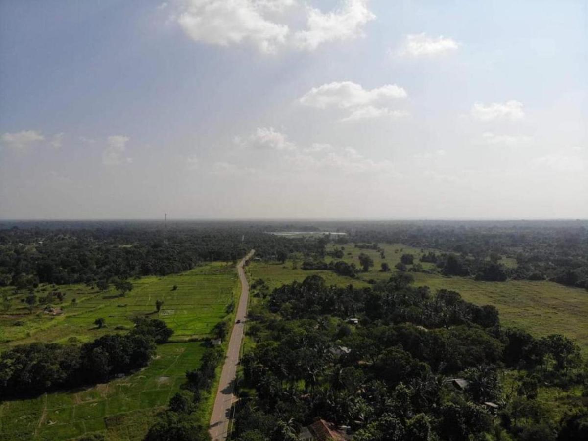 Wilpattu Dolosmahe المظهر الخارجي الصورة